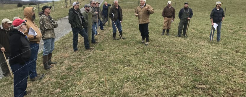 VFGC Members Share Timeless Benefits of Stockpiling and Strip-Grazing Tall Fescue