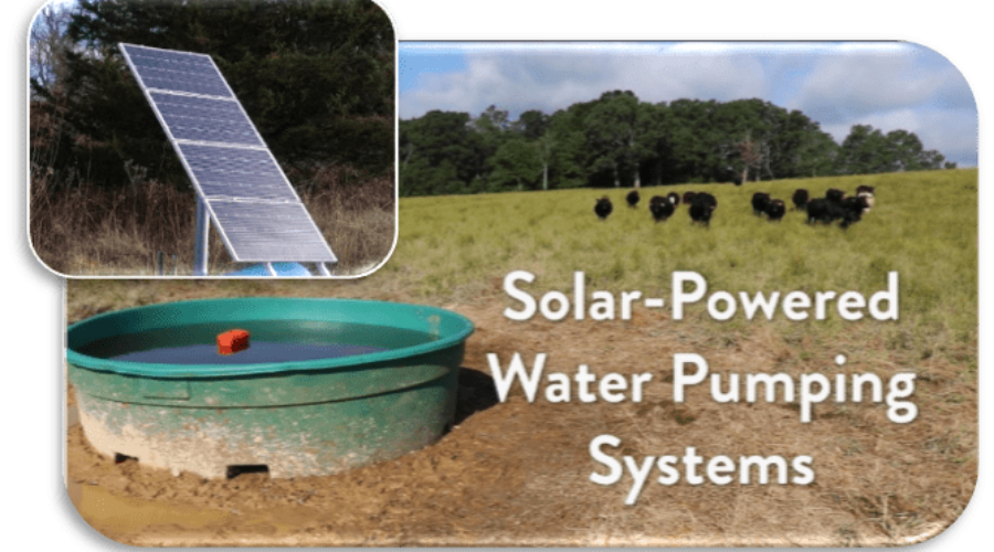 Solar-Powered Water Pumping Systems for Livestock
