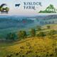 Pasture Walk-Kinloch Farm