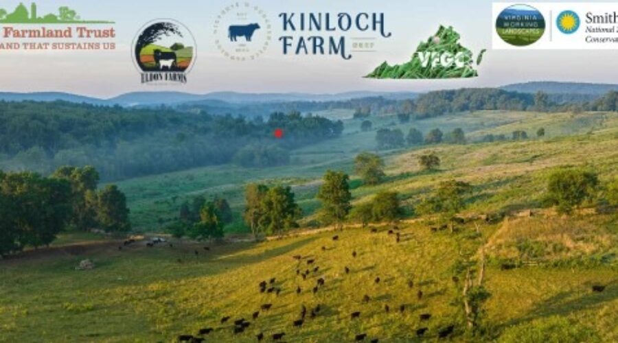Pasture Walk-Kinloch Farm